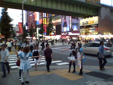 Akihabara Maids