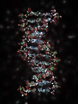 Gem DNA by Paul Thiessen
