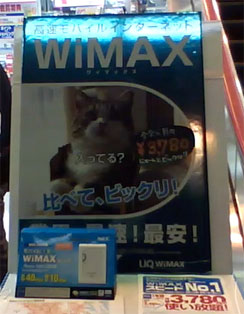 WiMAX Kitties